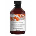 Davines Energizing Shampoo Anticaduta  - 250 ml